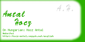 antal hocz business card